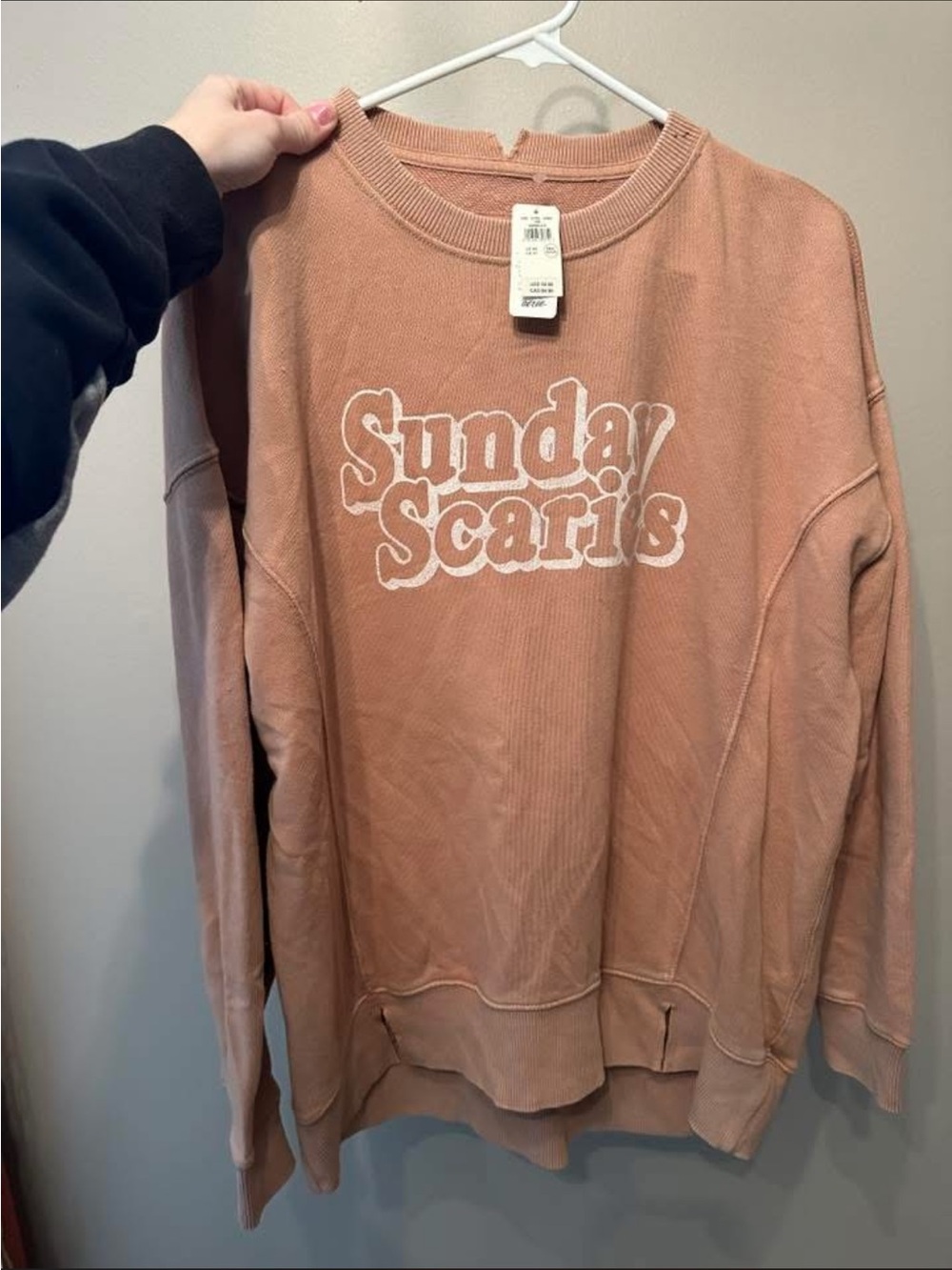 aerie Crewneck Sweatshirt in Dusty Rose with White Graphic